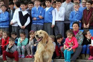 Kurtarma k&ouml;peği tatbikatta ezilme tehlikesi atlattı