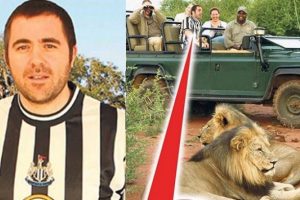 Bu formayla zebra avına gidince &ouml;ld&uuml;!