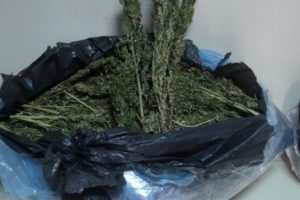 Polis uyuşturucuya karşı b&ouml;yle operasyon yaptı