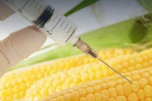 2025'te iki kişiden biri diyabet hastası olacak