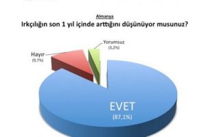 Almanya ve Avusturya'da M&uuml;sl&uuml;manlara saldırılar arttı