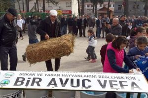 Bursa'da yaban hayvanlarını kurtaracak proje: Vefa!