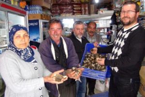 Bu mantarın yaşı 100 kurusu 600 lira