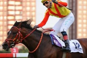 İstanbul Veliefendi Hipodromu yasa boğuldu