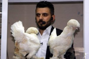 Bursa'da bu sevimli yaratıklar 'el yakıyor'
