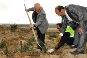 250 bin şehit i&ccedil;in 250 bin fidan