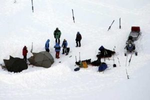 Norve&ccedil;'te bir kutup ayısı turist kafilesine saldırdı