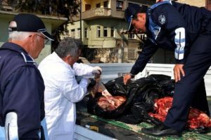 Mersin'de 200 kilo at eti ele ge&ccedil;irildi