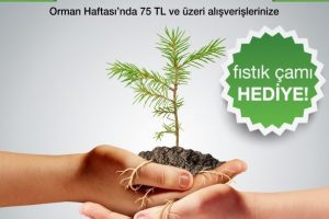 &Ouml;zdilek'ten her nefes i&ccedil;in bir fidan