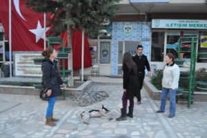 Vurulan k&ouml;peği İznik Belediyesi &ouml;n&uuml;ne bıraktılar