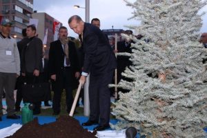 Erdoğan fidan dikti