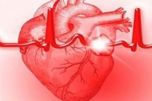 K&ouml;k h&uuml;cre ile kalp yetmezliği tedavisi
