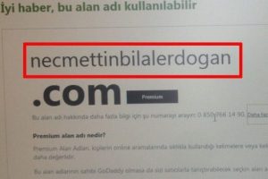 Bilal Erdoğan'ın adı 264 bin 337 liraya...