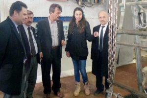 Yenişehir mezbahası s&uuml;rekli denetim altında!
