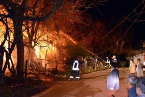 Yavru k&ouml;pekler yanmaktan son anda kurtarıldı