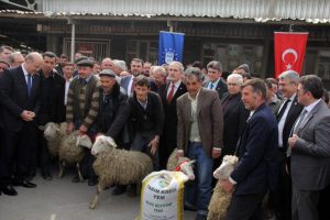 K&ouml;yl&uuml;lere 200 koyun ile 50 ton yem desteği
