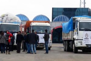 Mardin'den Kobani'ye 25 kamyon yardım