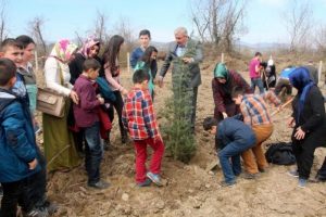 G&ouml;n&uuml;l el&ccedil;ileri 2 bin fidan dikti