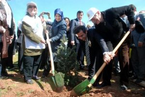 Gebze'de 12 bin fidan dikildi