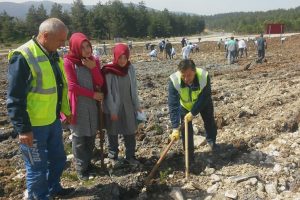 Bursa'da y&uuml;zlerce fidan toprakla buluştu