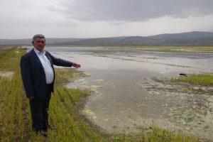 Bursa'da 8 bin d&ouml;n&uuml;m arazi sular altında