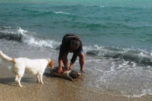 Caretta carettalar i&ccedil;in seferber oldular
