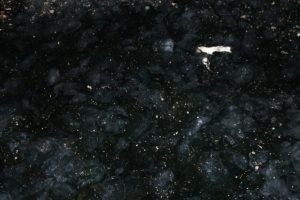 Denizanaları Boğaz'ı istila etti