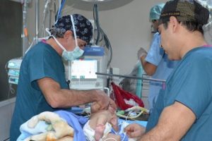 Harran &Uuml;niversitesi'nden d&uuml;nyada bir ilk