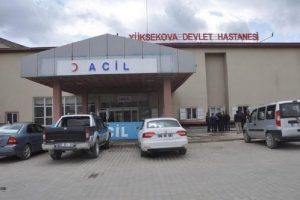 Y&uuml;ksekova'da domuz gribi ş&uuml;phesi