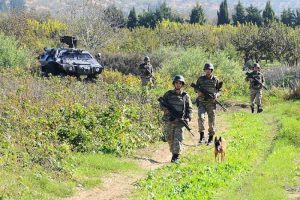 T&uuml;rkiye'ye girmeye &ccedil;alışan IŞİD &uuml;yesi &Ccedil;inli &ccedil;ift yakalandı