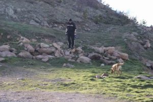 Dağda kaybolan şahsı arama &ccedil;alışması başlatıldı