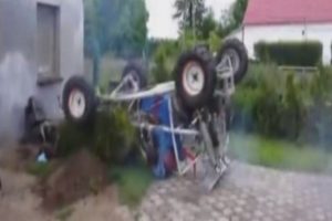 Bir ağacı hafife almaması gerektiğini b&ouml;yle &ouml;ğrendi