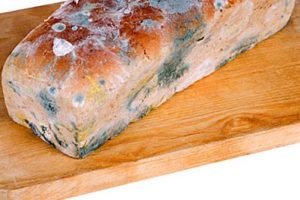 Bursa'da tost ekmeği k&uuml;fl&uuml; &ccedil;ıkınca...