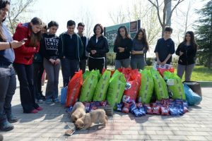 Bursalı minikler har&ccedil;lıklarını can dostlarına harcadılar