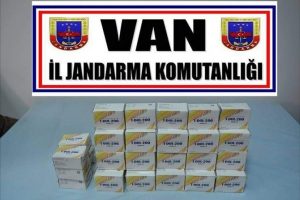 Toprağa g&ouml;m&uuml;l&uuml; halde bulundu