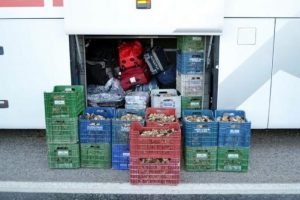 200 kilo kuzug&ouml;beği mantarına el konuldu