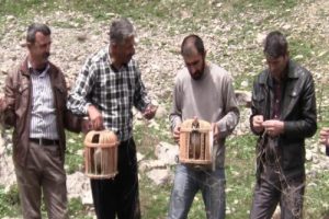 Ka&ccedil;ak avlanan keklikleri doğaya bıraktılar