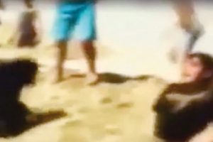 Oyuncusunu kuma g&ouml;men antren&ouml;r Savaş Yılmaz'a soruşturma