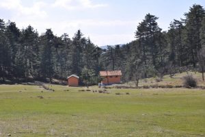 Bursa B&uuml;y&uuml;korhan kestane ve cevizin kalbi olacak