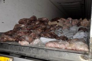 Afyonkarahisar'da 16 ton ka&ccedil;ak et bulundu