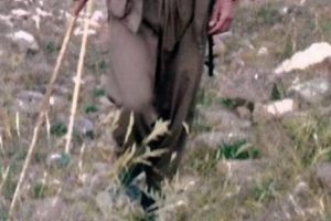 &Ccedil;atışmada &ouml;ld&uuml;r&uuml;len PKK'lı katil &ccedil;ıktı