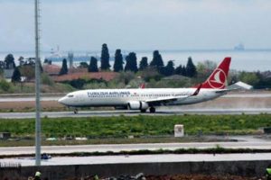 Atat&uuml;rk Havalimanı'nda k&ouml;pekler piste &ccedil;ıktı