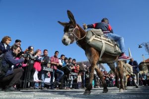 &Ccedil;ocuklar eşeğe ters binerek yarıştı
