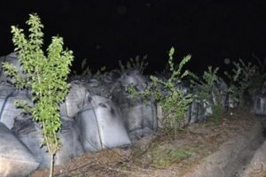 30 TIR'lık gizli tehlike!