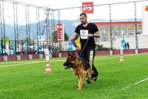 Alman &ccedil;oban k&ouml;pekleri Nil&uuml;fer'de yarıştı