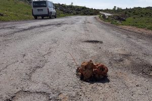 Diyarbakır'da patlayıcı d&uuml;zenek bulundu