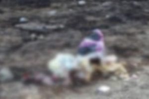Bing&ouml;l'de par&ccedil;alanmış bebek cesedi bulundu