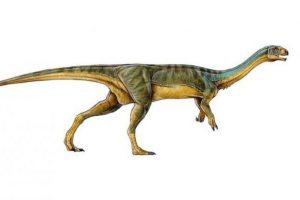T. Rex'in 'en tuhaf' akrabası bulundu