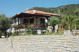 Eski valinin oğlundan ev sahibine &uuml;&ccedil; kurşun
