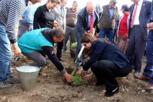 Burdur G&ouml;l&uuml;'n&uuml; 'Lavanta Deresi' kurtaracak
